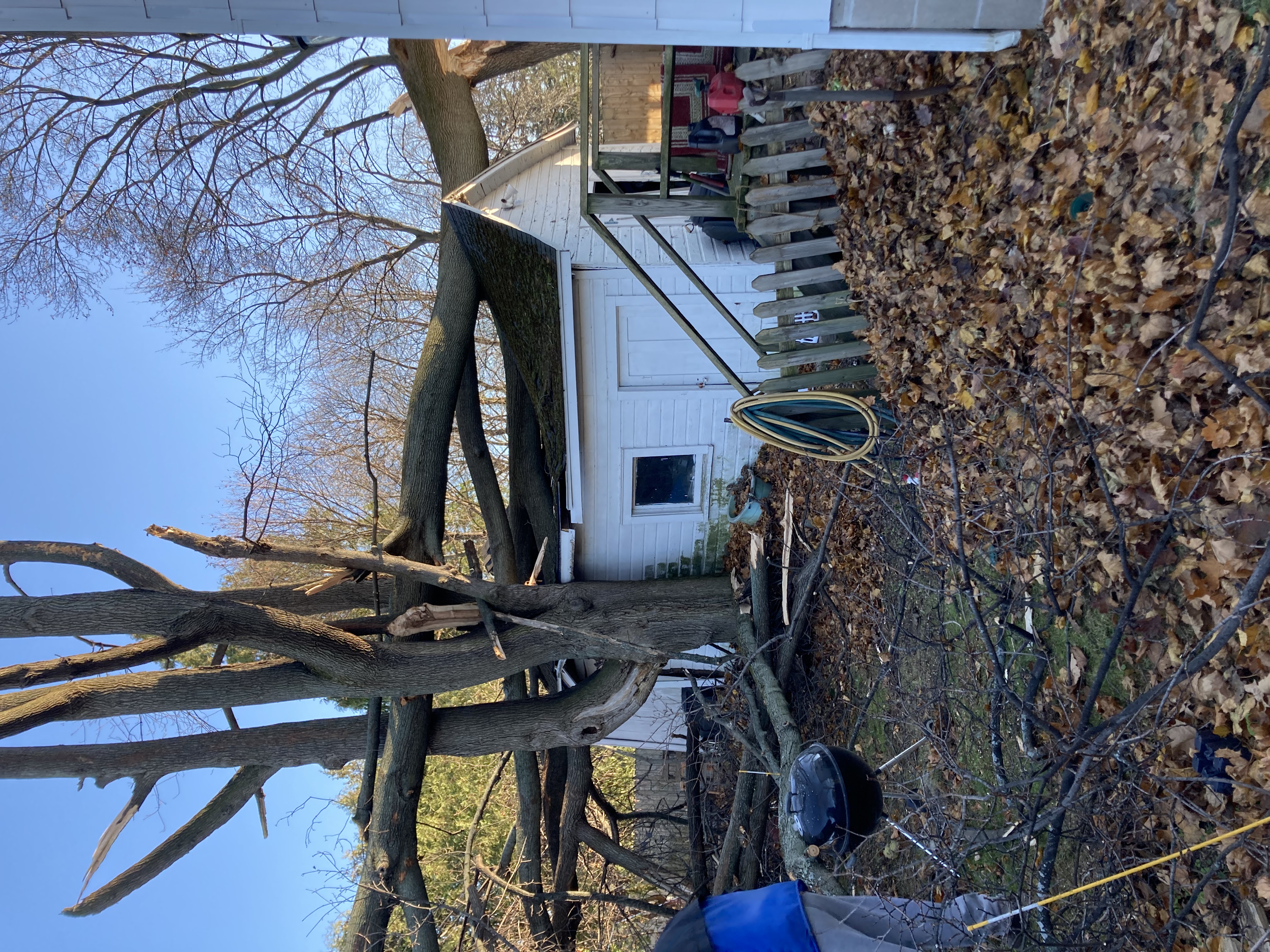 Tree that fell on a shed structure during a heavy storm in Arkansas